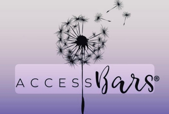 accesbars evakroiss 1