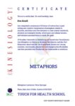 Zertifikat Metaphern Pdf 106x150