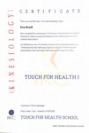 Zertifikat TfH 1 Pdf 101x150