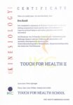 Zertifikat TfH 2 Pdf 104x150