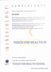 Zertifikat TfH 3 Pdf 106x150